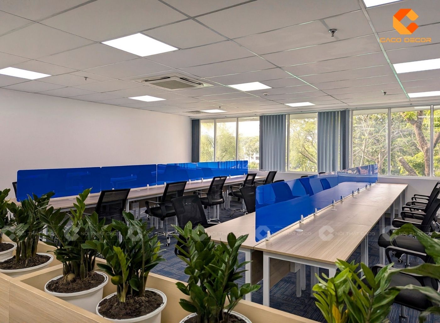 Không gian văn phòng trang trí nhiều cây xanh