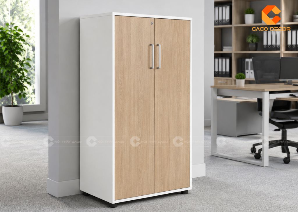 Kích Thước Tủ Hồ Sơ Văn Phòng Cần Biết Trước Khi Mua 16
