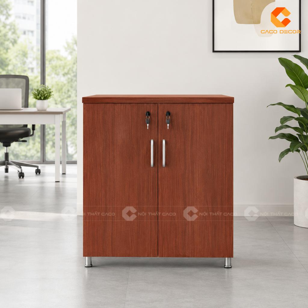 22+ Mẫu Tủ Hồ Sơ Mini Đẹp, Nhỏ Gọn, Tiện Lợi Cho Văn Phòng 11