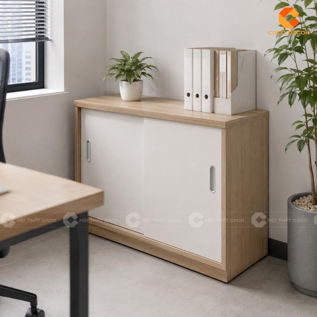 22+ Mẫu Tủ Hồ Sơ Mini Đẹp, Nhỏ Gọn, Tiện Lợi Cho Văn Phòng 18