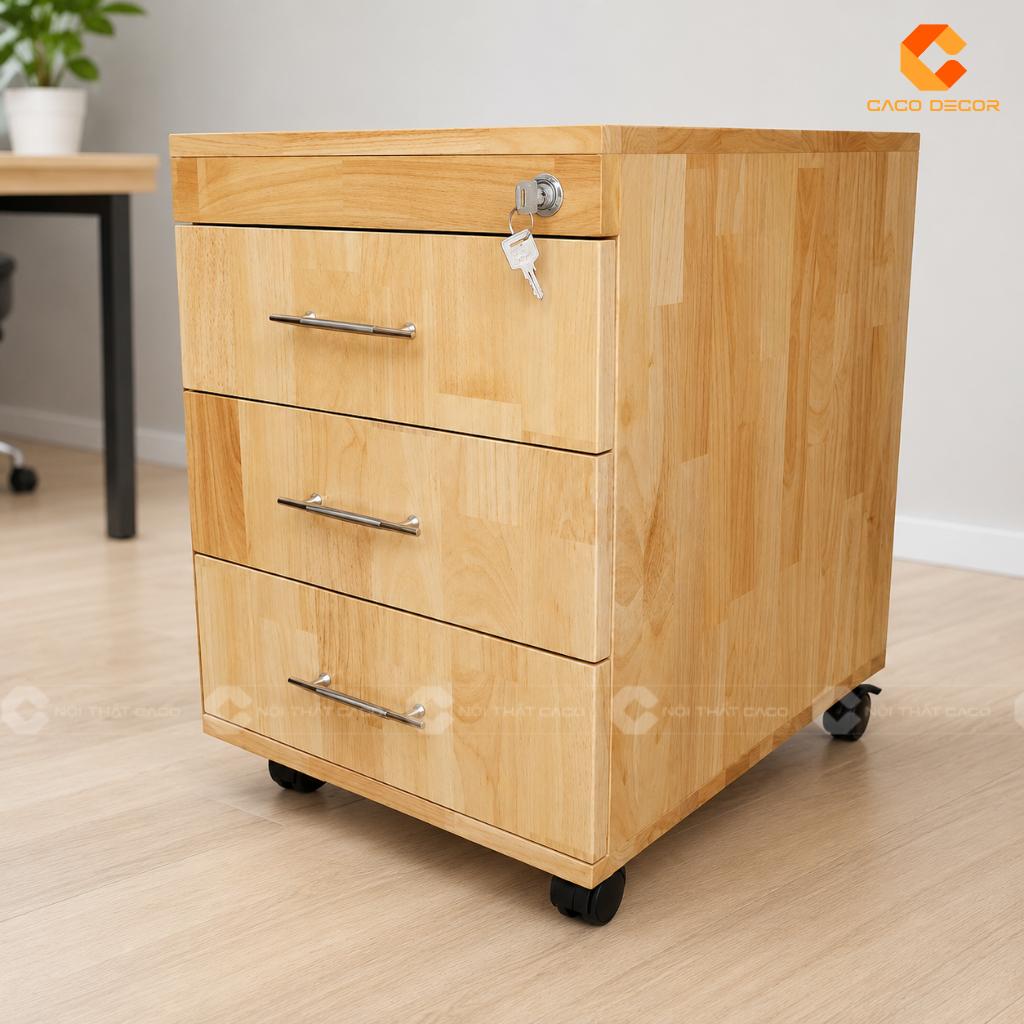 22+ Mẫu Tủ Hồ Sơ Mini Đẹp, Nhỏ Gọn, Tiện Lợi Cho Văn Phòng 19