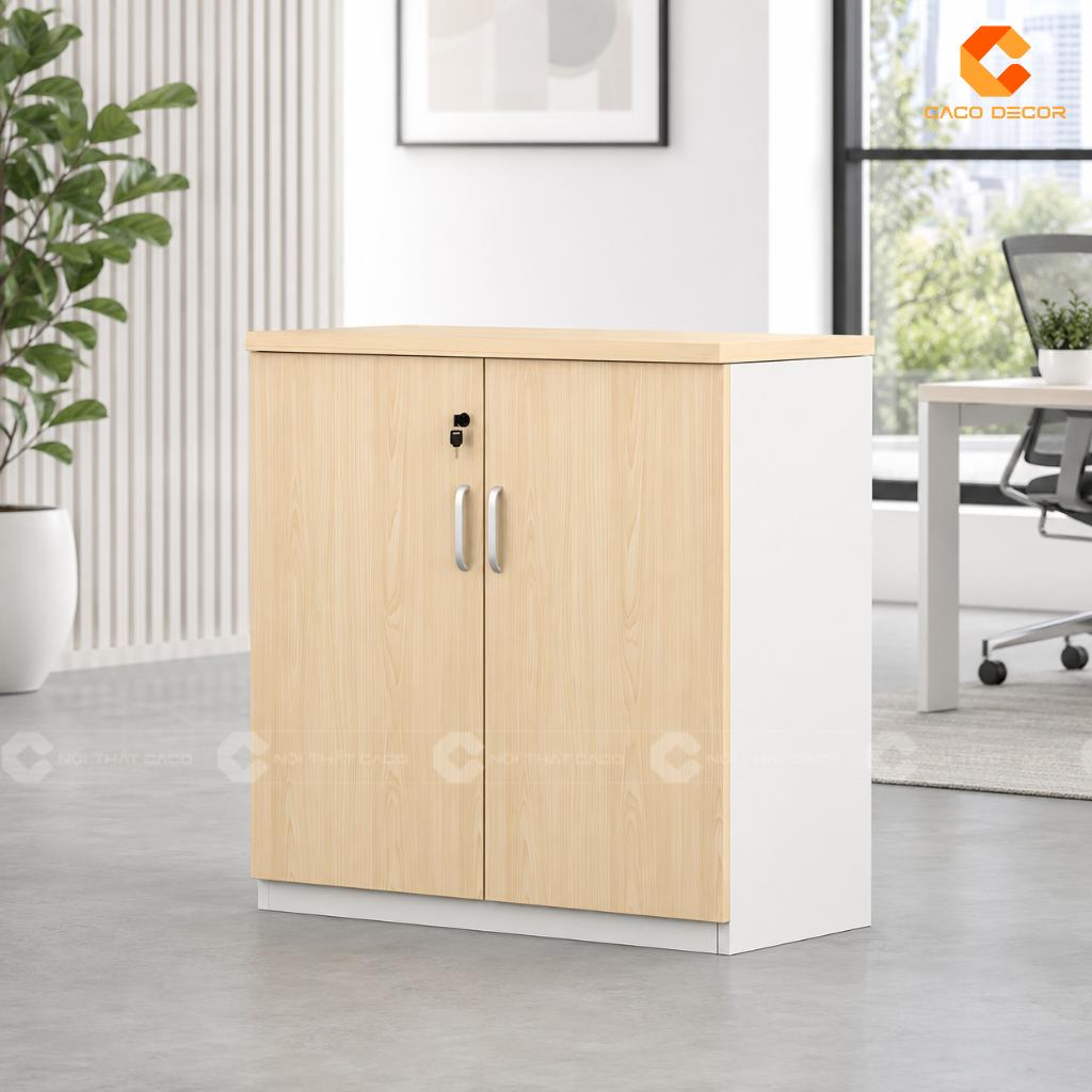 22+ Mẫu Tủ Hồ Sơ Mini Đẹp, Nhỏ Gọn, Tiện Lợi Cho Văn Phòng 21