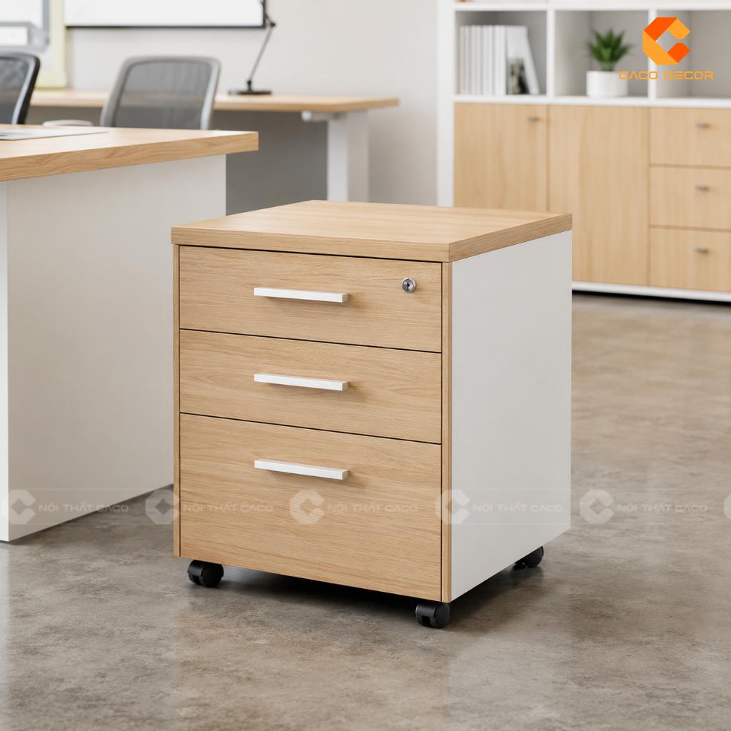 22+ Mẫu Tủ Hồ Sơ Mini Đẹp, Nhỏ Gọn, Tiện Lợi Cho Văn Phòng 3