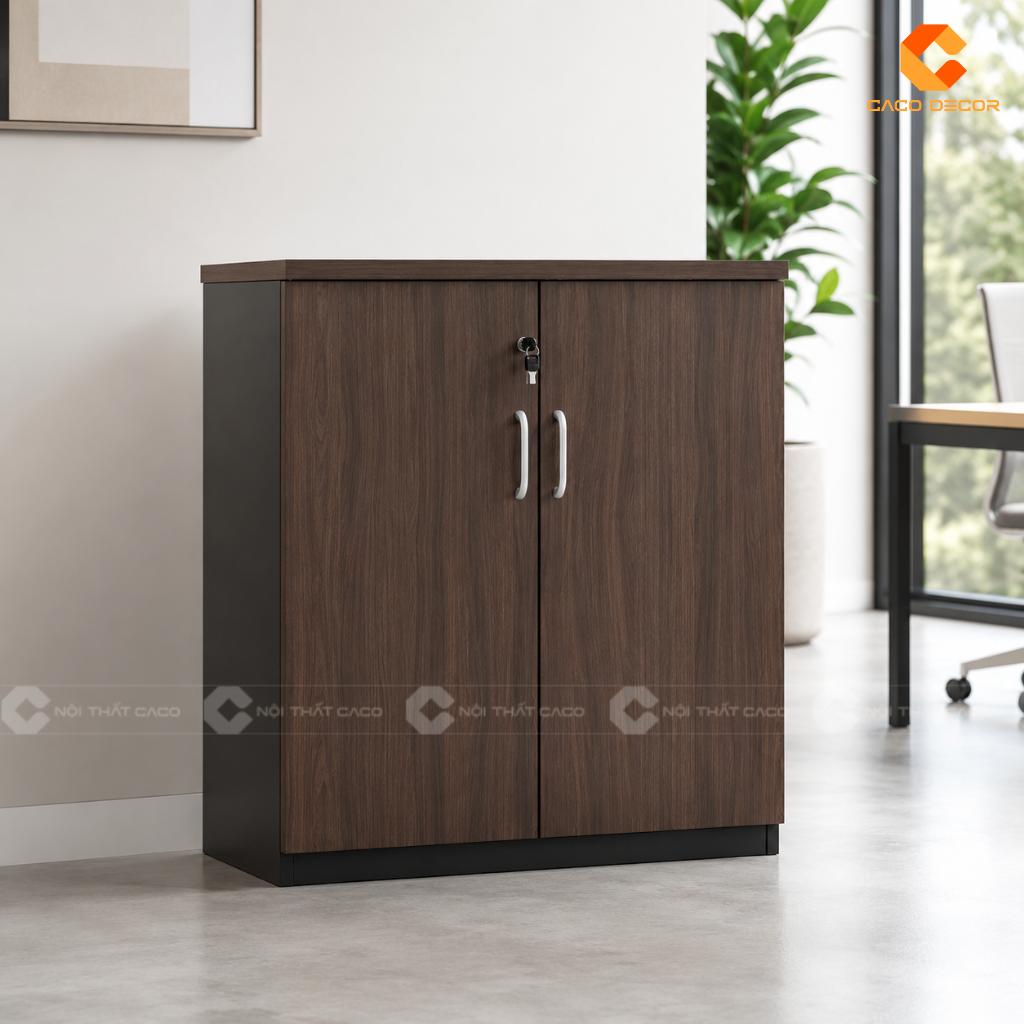 22+ Mẫu Tủ Hồ Sơ Mini Đẹp, Nhỏ Gọn, Tiện Lợi Cho Văn Phòng 6