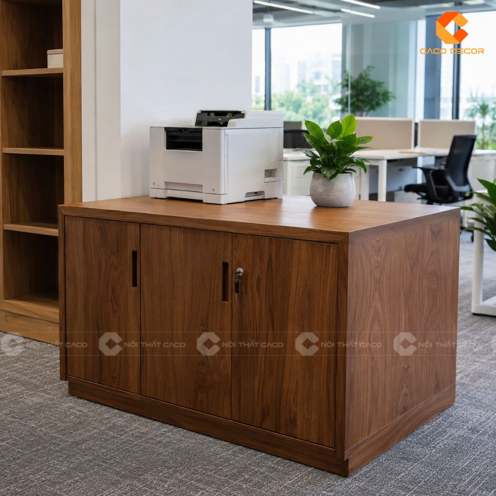 20+ Mẫu Tủ Hồ Sơ Gỗ Tự Nhiên Đẹp, Bền Cho Văn Phòng  23