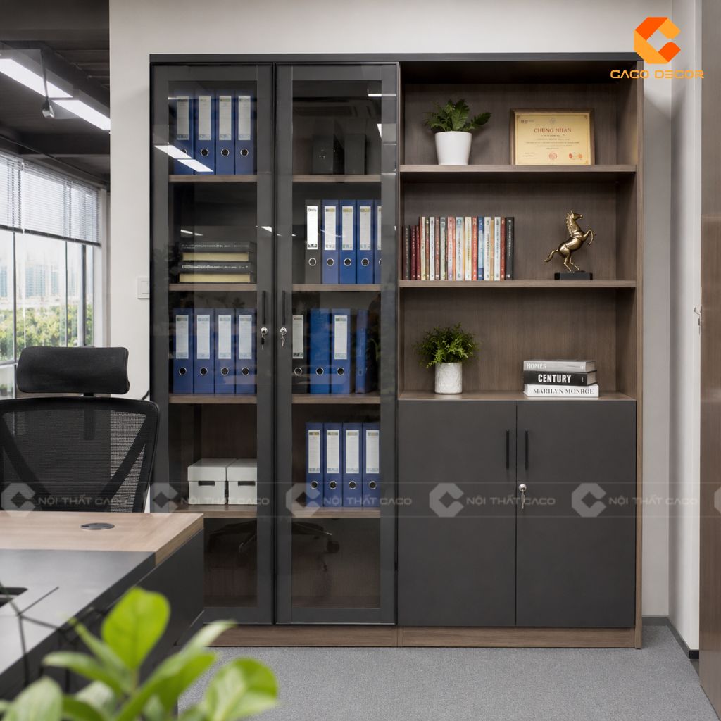 25 Mẫu Tủ Hồ Sơ Cánh Kính Đẹp Hiện Đại, Lưu Trữ Khoa Học 9