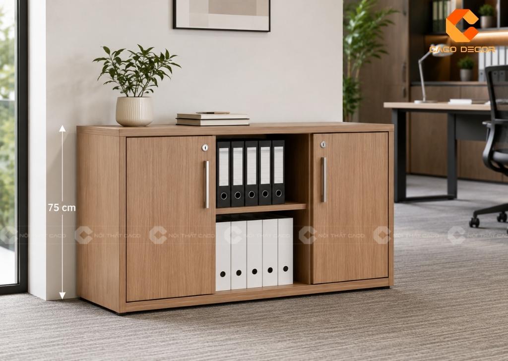 Tủ Hồ Sơ Cao 75cm, 1m2 Hay 2m? Nên Chọn Loại Nào? 13