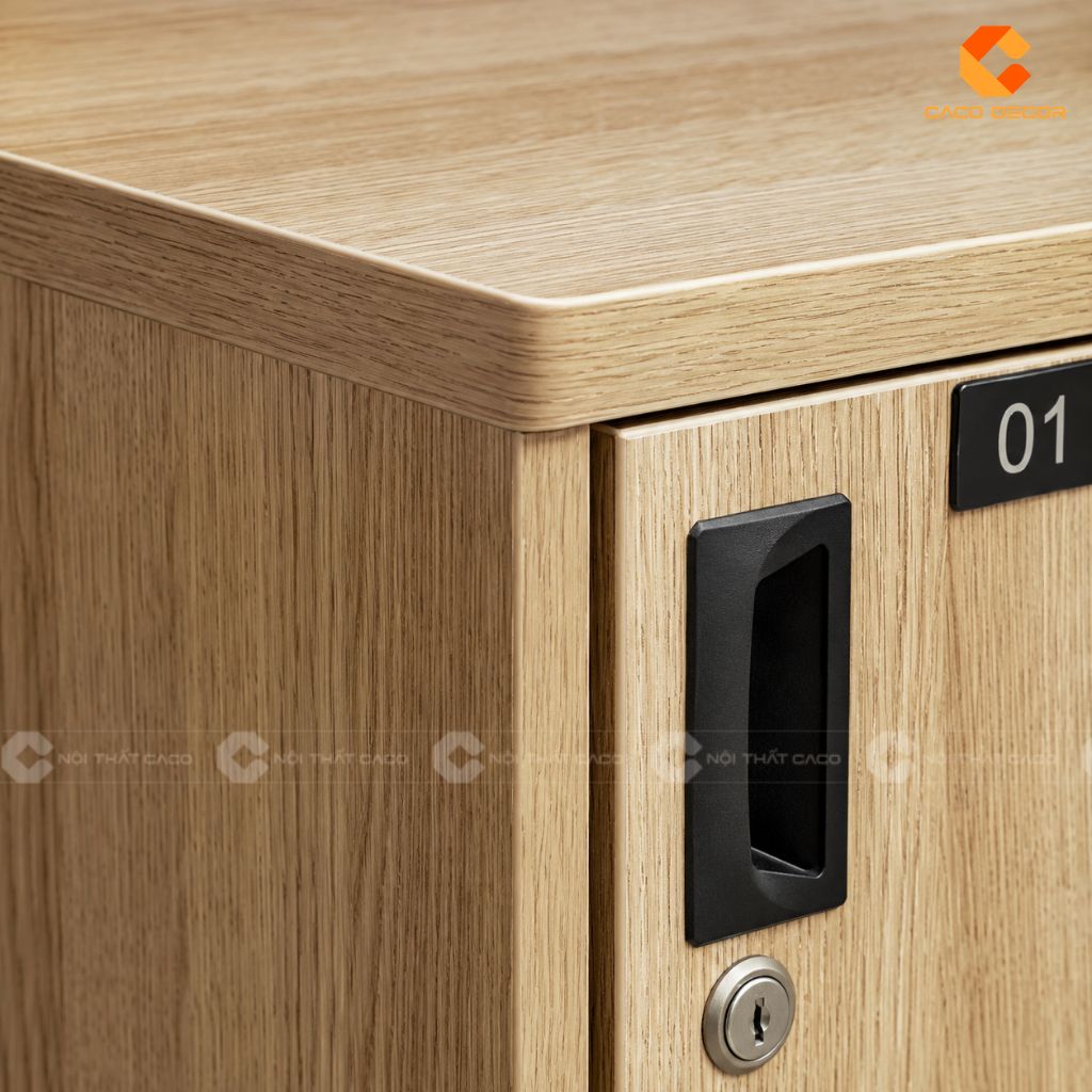Cách Chọn Mua Tủ Locker Văn Phòng Bền Đẹp, Giá Tốt 21