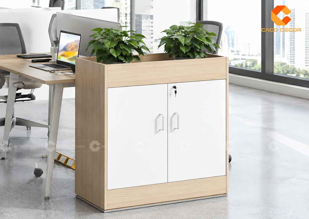 TOP 22 Mẫu Tủ Hồ Sơ Thấp 2 Cánh Đẹp, Gọn Cho Văn Phòng 13