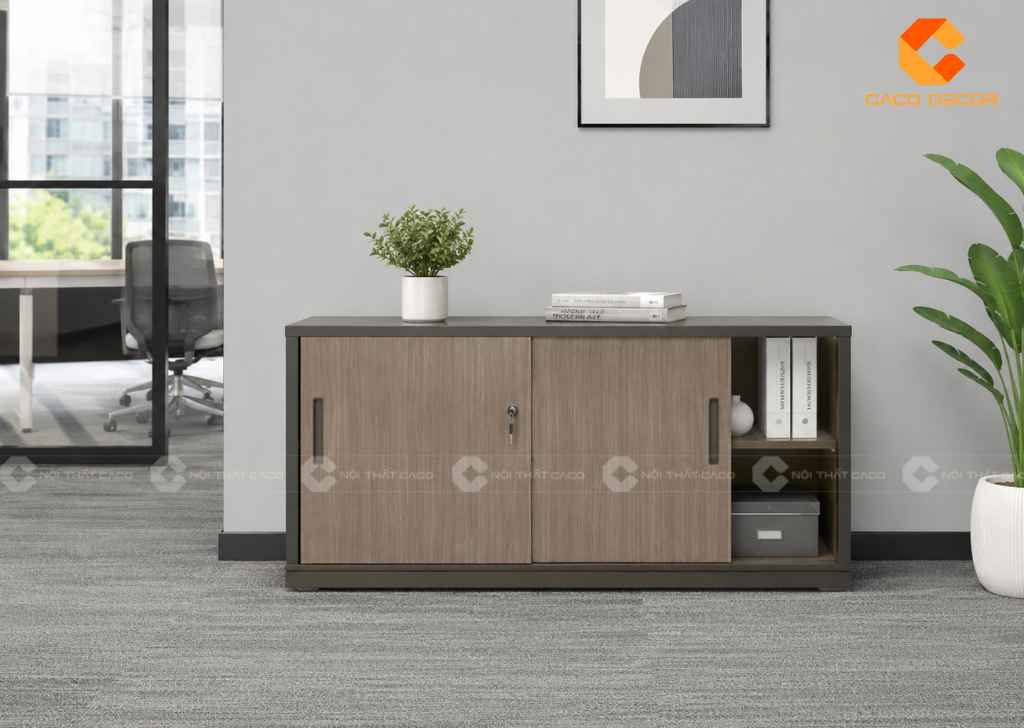  TOP 22 Mẫu Tủ Hồ Sơ Thấp 2 Cánh Đẹp, Gọn Cho Văn Phòng 19