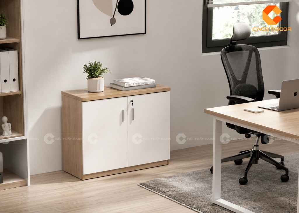  TOP 22 Mẫu Tủ Hồ Sơ Thấp 2 Cánh Đẹp, Gọn Cho Văn Phòng 15