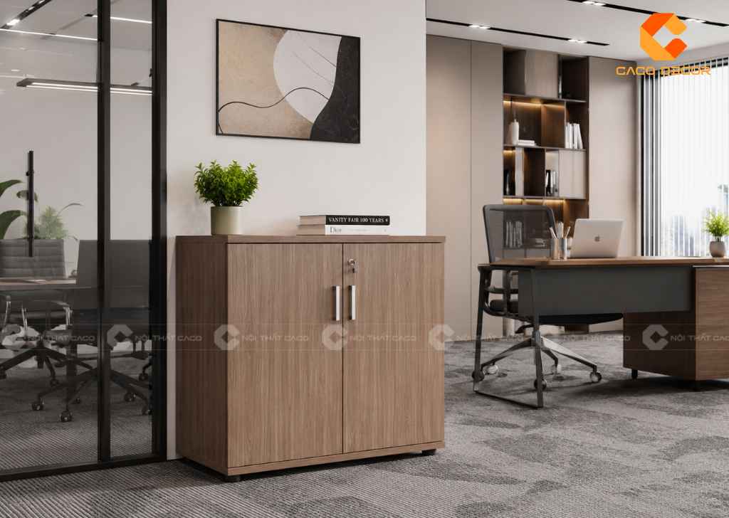  TOP 22 Mẫu Tủ Hồ Sơ Thấp 2 Cánh Đẹp, Gọn Cho Văn Phòng 20