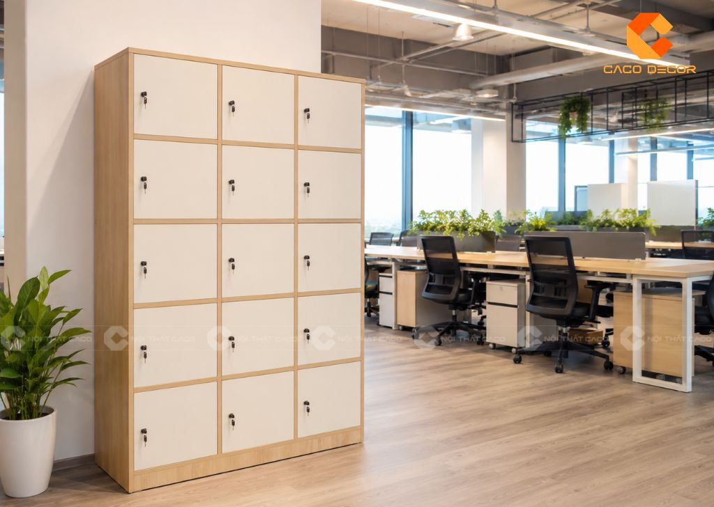 Tủ Locker Là Gì? Công Dụng, Cấu Tạo Và Các Loại Locker 16