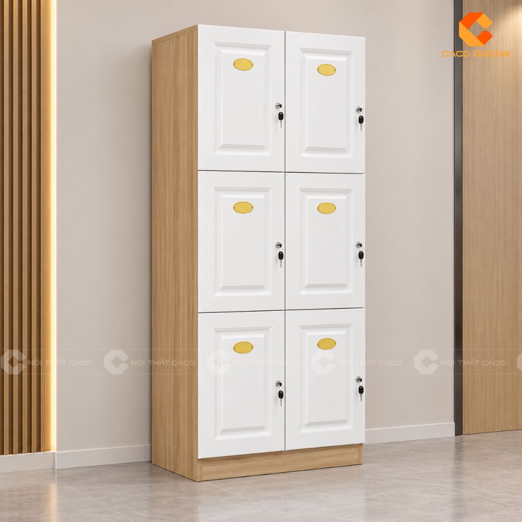 22+ Mẫu Tủ Locker 6 Ngăn Hiện Đại, Gọn Đẹp Và Dễ Bố Trí 4