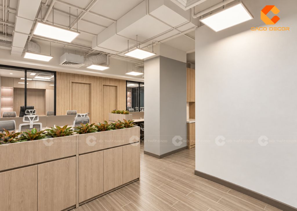 Thiết kế tủ lưu trữ kết hợp bồn cây xanh phân chia không gian