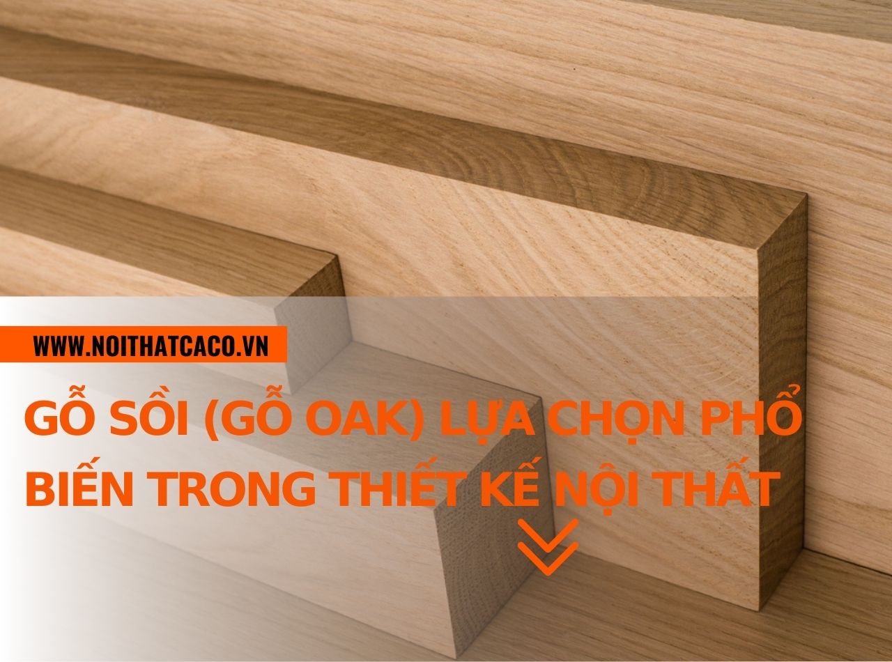 Gỗ sồi (gỗ Oak) lựa chọn phổ biến trong thiết kế nội thất