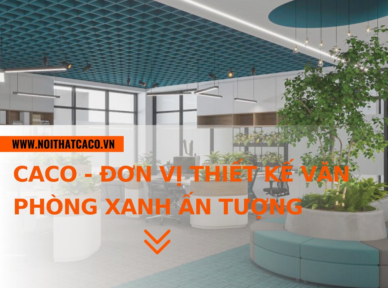 CaCo - đơn vị thiết kế văn phòng xanh hiện đại, ấn tượng